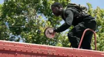 Paradise pode mergulhar em viagem no tempo na 2ª temporada, sugerem fãs - Imagem do artigo original