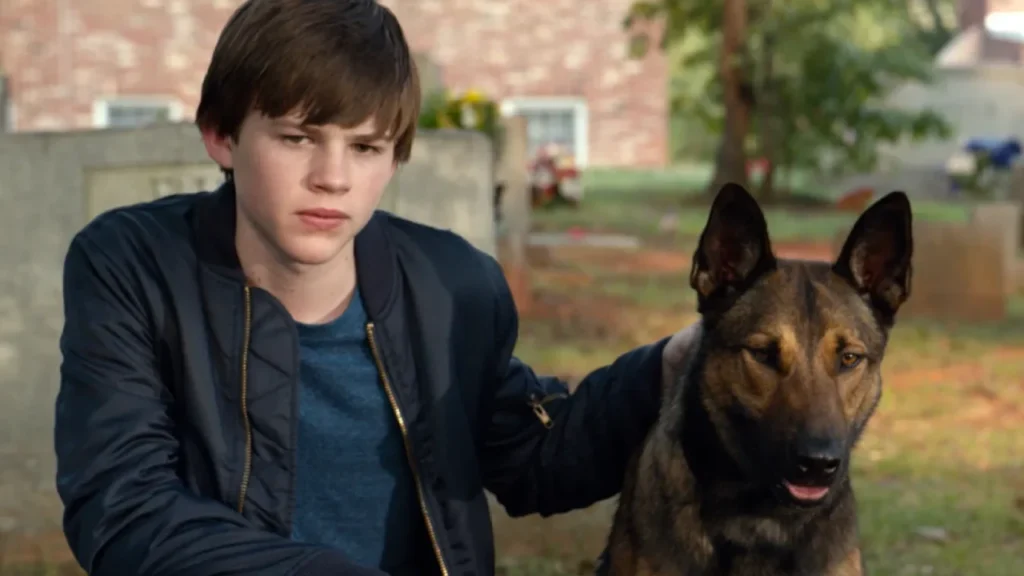 Sessão da Tarde exibe hoje Max: O Cão Herói; saiba o que esperar do longa