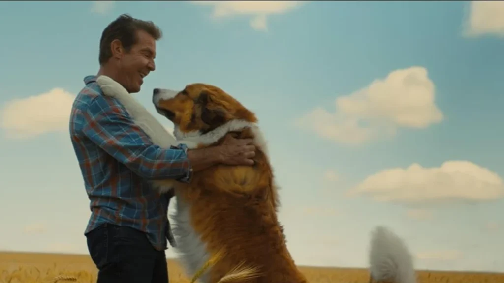 Sessão da Tarde exibe Juntos Para Sempre hoje (7); veja horário e trama do filme